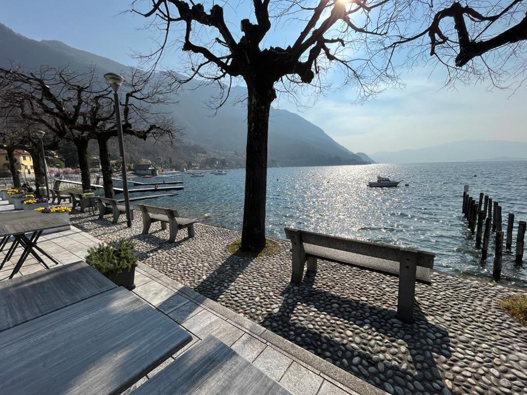 Il Sole Di Calde Lago Maggiore 504 Castelveccana Esterno foto