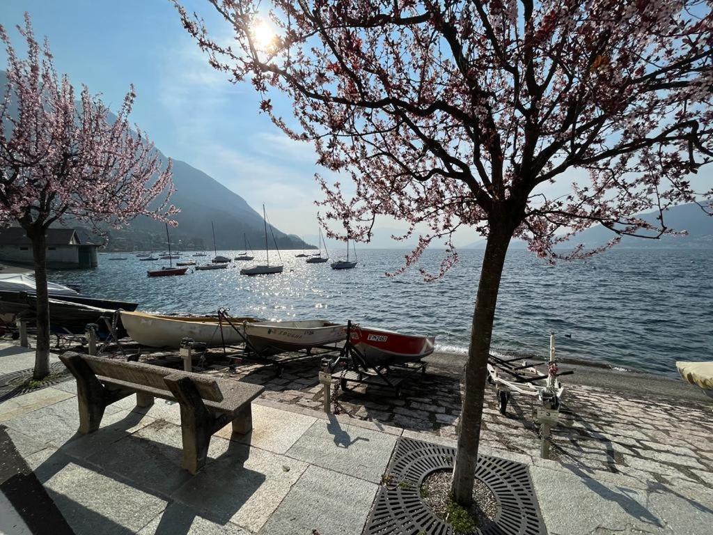 Il Sole Di Calde Lago Maggiore 504 Castelveccana Esterno foto