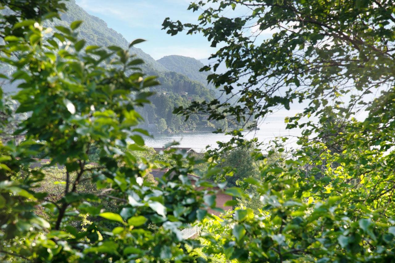 Il Sole Di Calde Lago Maggiore 504 Castelveccana Esterno foto